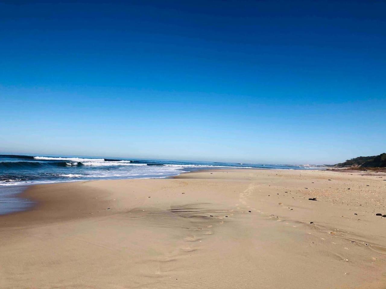 Beachliving איזמוריס מראה חיצוני תמונה